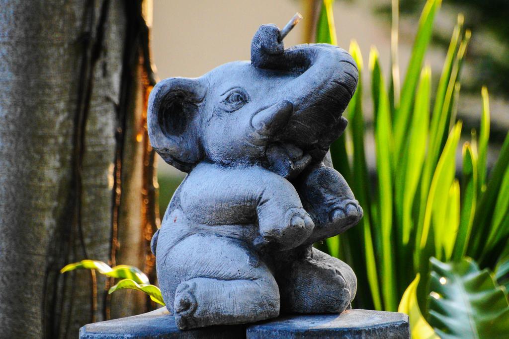 Thai Dee Garden Resort Haad Rin Eksteriør billede